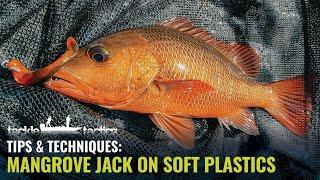 How to Catch Mangrove Jack on Soft Plastics - Gearing Up