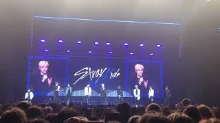 BANG CHAN AND FELIX CRYING AT THE STRAY KIDS SYDNEY SHOW 