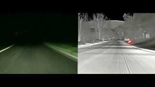 Night Vision with Animal Detection