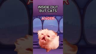 CAT MEMES  INSIDE OUT BUT CATS #cat #catlover #catvideos #insideout #shorts