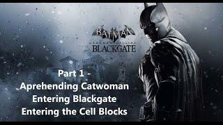 Batman: Arkham Origins Blackgate Deluxe Edition #1 (PC Playthrough) "Entering Blackgate"