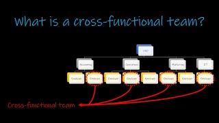 Cross Functional Teams