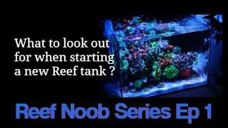 SRC Reef Noob series Ep1 - Journey to the salty side of a marine tank