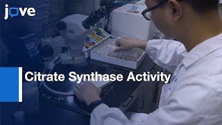 Colorimetric Assay of Citrate Synthase Activity | Protocol Preview