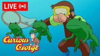  LIVE Curious George  Full Episode Marathon  George's Underwater Adventure! + MORE