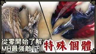 魔物獵人回憶錄 - 特殊個體魔物專題(下集)，最強&最禁忌的登場