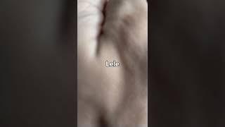 Vidio lele viral 13 detik 