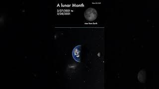          - A Lunar Month