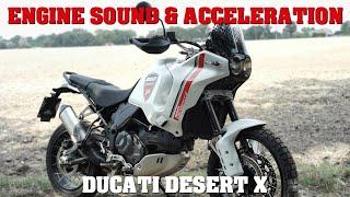 Ducati Desert X | Exhaust Sound & Acceleration