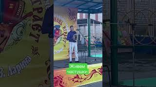 Жизненно частушки! #shorts #дмитрийгармонист #гармонь #частушки