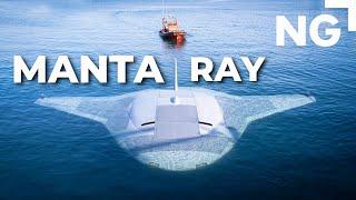 Northrop’s Autonomous 'Manta Ray' Drone Completes In-Water Test