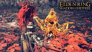 The Best Voice Acting in Elden Ring: Shadow of the Erdtree (Igon vs Bayle the Dread)