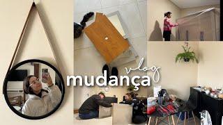 VLOG DA MUDANÇA | apartamento novo, organizando tudo em caixas & mais