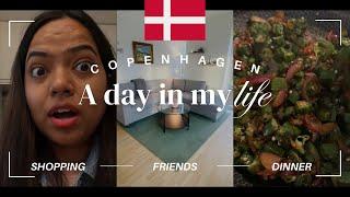 A day in my life in Denmark | Friends | Indian Grocery #kritiprajapati