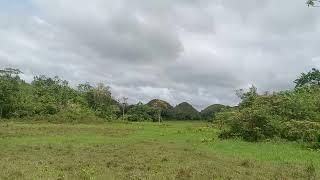 FARM LOT FOR SALE IN CARMEN , BOHOL, PHILIPPINES