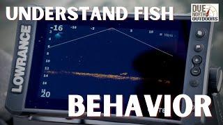 Understand Fish Behavior with Lowrance Active Target