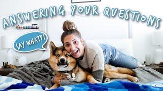 Answering Your Questions! Q&A | Mackey the Shepsky