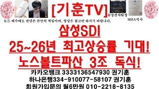 [주식투자]삼성SDI(25~26년 최고상승률 기대!노스볼트파산 3조 독식!)