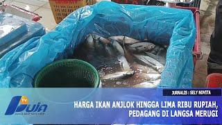 Harga Ikan Anjlok Hingga Lima Ribu Rupiah, Pedagang Di Langsa Merugi