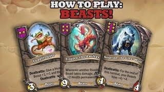 Beasts Back to Basics Guide How to Win Hearthstone Battlegrounds *Trinket Meta*