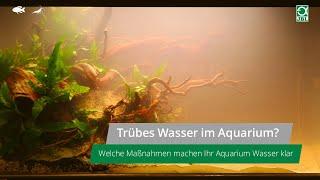 JBL TV #23: Trübes Wasser im Aquarium? Diese Maßnahmen helfen!