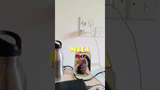 MICA, Mudra Institute of Communications, Ahemdabad. #mba #cat2022 #iim #marketing