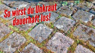 8 Tipps gegen Unkraut in Fugen [so wirst du Unkraut dauerhaft los]