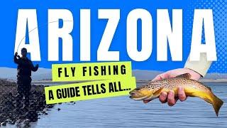 Fly Fishing in Arizona: Top Spots, Where Big Fish Are & More