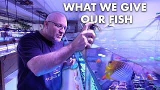 WHAT WE GIVE TO OUR FISH! - special GERMAN fish food (Fauna Marin)