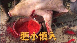 杀猪过年 how to kill a pig