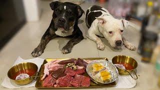 O&n The Pit Bulls eatRAW WAGYU BEEF combo[ASMR]MUKBANG #อาหารสุนัขที่ดีที่สุด EP.095 of 2024