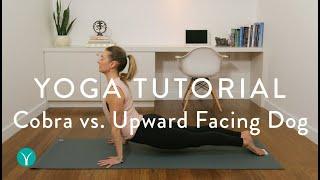 Cobra Pose vs. Upward Facing Dog (How to do it PROPERLY!)