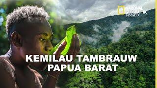 KEMILAU TAMBRAUW YANG MEMUKAU