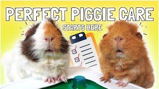 The Ultimate Checklist for New Guinea Pig Owners 2024!