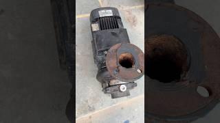 Grundfos CM15 series pressure pump repairing & replacement work #motor #grundfos #electric #winding