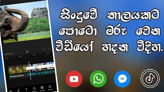 How to crete audio with photo change video. Sinc audio with photo|Editor lk capcut tutorial sinhala