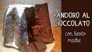 PANDORO AL CIOCCOLATO con lievito madre