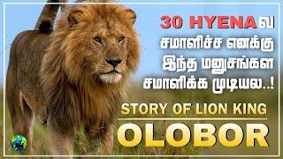 Olobor | Story of the real lion king | Tamil | Famous black rock boys lion coalition | Bioworld | BW