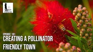 Creating a Pollinator Friendly Town - The Bush Bee Man