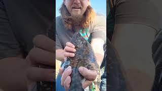 Flounder and Redfish Party . #fishing #funny #redfish #flounder #wow #double #bigfish #subscribe