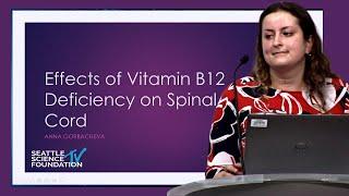 The Effects of Vitamin B12 Deficiency on the Spinal Cord - Anna Gorbacheva