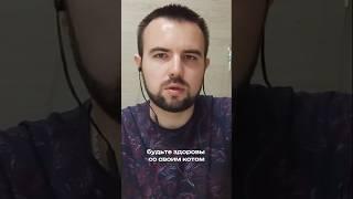 В Европе ветпомощь недоступна для многих? Рассказывает главный врач #зообизнес #ветклиника