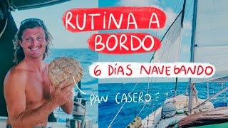 ️ RUTINA durante TRAVESIA OCEANICA en VELERO / 500 Millas   [Ep.48]  El Viaje de Bohemia