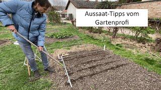 Jungpflanzen kaufen oder direkt säen?  ‍ Aussaat-Tipps für Anfänger bis Fortgeschrittene