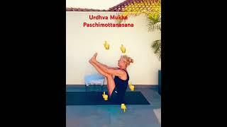 #yoga #shortvideo #yogaforbeginners 50. Yoga Pose Beginners Up Chair Urdhva Mukha Paschimottanasana