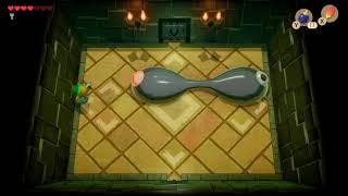 The Legend Of Zelda Link's Awakening How to Beat The Slime Eye, 3rd Dungeon Boss (Quick Tips)