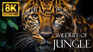 Wildlife Of Jungle 8K: Amazing Life Of The Wildlife - Nature Sounds & Scenic Relaxation Film