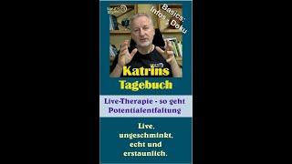 Katrins Tagebuch - vom Leiden ins Leben - eine Kurzbeschreibung der Gefühlsarbeit durch H. Schraps