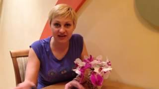 ЗАРПЛАТА УРА так уже ТРИ ГОДА!!! КАНАЛ ИГОРЬ ШУШАКОВ