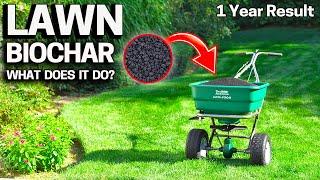 Does BIOCHAR for LAWNS WORK? 1 Year RESULT!